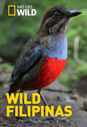 Wild Filipinas: Islas encantadas en la programación de Nat Geo Wild HD (Documentales)