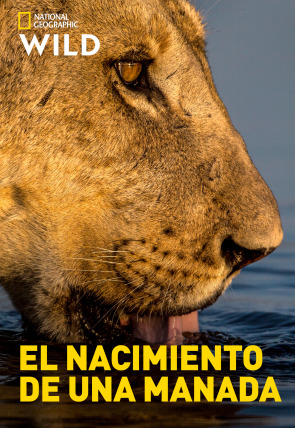 Póster de El nacimiento de una manada