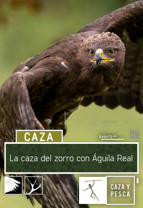 La caza del zorro con Águila Real
