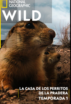 Póster de La casa de los perritos de las praderas · La carrera del siglo