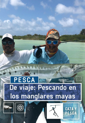 De viaje: pescando en los manglares mayas en la programación de Caza y Pesca HD (Ocio y Aficiones)