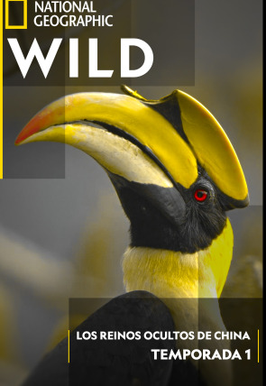 Póster de Los reinos ocultos de China · El imperio de los gigantes