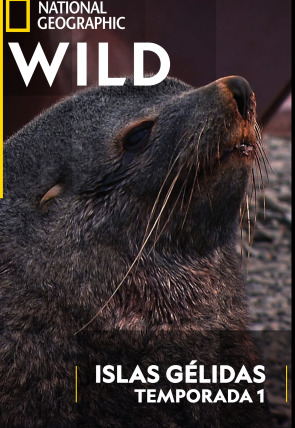 Póster de Islas gélidas: Islas gélidas 1