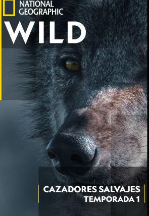 Póster de Cazadores salvajes: Osos