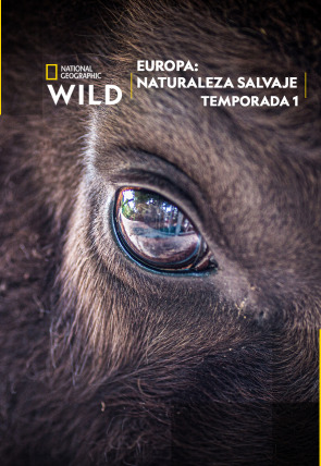 Europa: naturaleza salvaje · El lince perdido en la programación de Nat Geo Wild HD (Documentales)