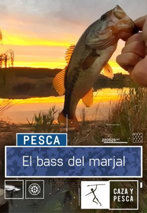 Póster de El bass del marjal