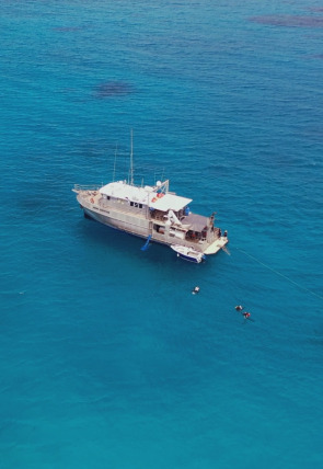 Carátula de Drenar los océanos: La flota atómica fantasma · Drenar los océanos 3: La flota atómica fantasma