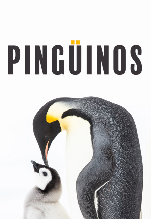 Póster de Pingüinos