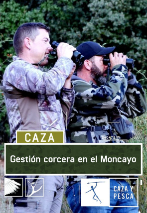 Gestión corcera en el Moncayo