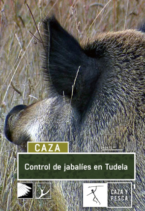 Control de jabalíes en Tudela en la programación de Caza y Pesca HD (Ocio y Aficiones)