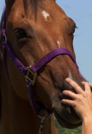 El increíble doctor Pol: Un año más en la programación de Nat Geo Wild HD (Documentales)