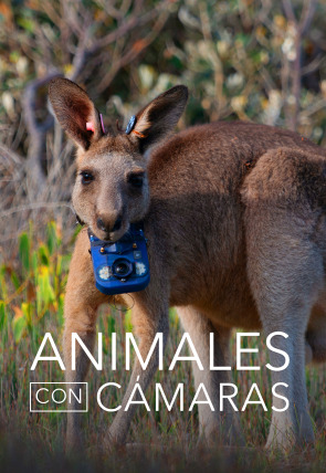 Animales con cámaras en la programación de La 2 (Documentales)