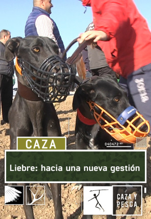 Liebre: Hacia una nueva gestión en la programación de Caza y Pesca HD (Ocio y Aficiones)