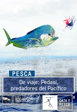 De viaje: Pedasí, predadores del Pacífico