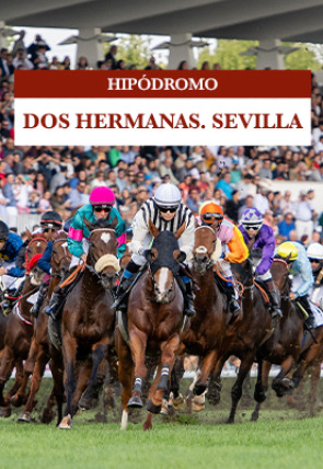 DIRECTO Hipódromo de La Zarzuela. 02/04/2026 T2026 · Las Carreras en la programación de M+ Deportes HD (Deportes)