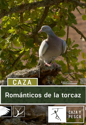 Póster de Románticos de la torcaz