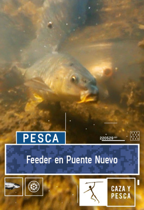 Feeder en Puente Nuevo en la programación de Caza y Pesca HD (Ocio y Aficiones)