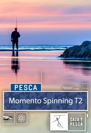 Póster de Momento Spinning