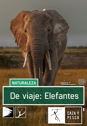 Póster de De viaje: Elefantes