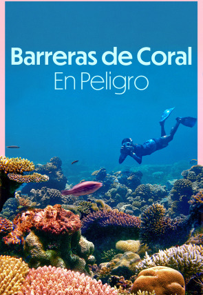 Póster de Barreras de coral en peligro