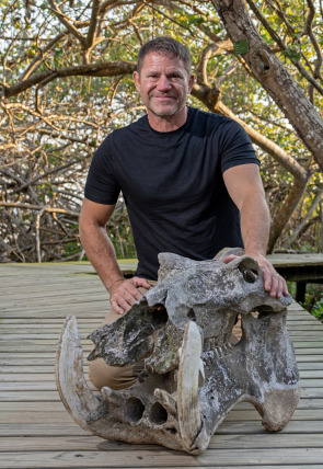 Póster de Hipopótamos y cocodrilos con Steve Backshall · Cocodrilos con Steve Backshall I