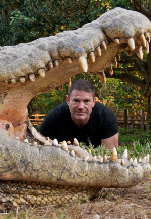 Póster de Hipopótamos y cocodrilos con Steve Backshall · Cocodrilos con Steve Backshall II