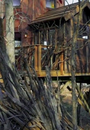 Mi casa en un árbol T5 · La experiencia Roderick