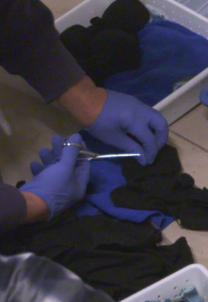 Póster de Control de fronteras: España