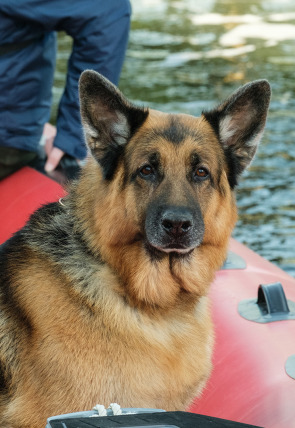 Hudson y Rex T6 E1 · Barco fantasma en la programación de Calle 13 HD (Series)