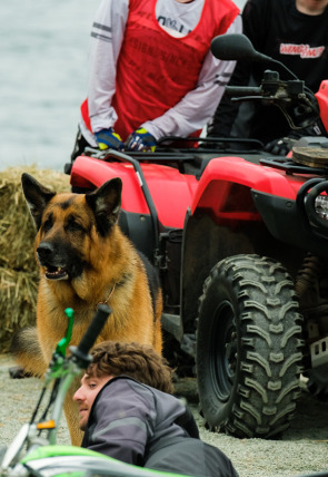 Imagen de la serie Hudson y Rex