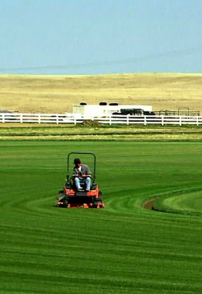 Carátula de Así se hace (MAX): Césped/Carne de ternera curada/Bolos
