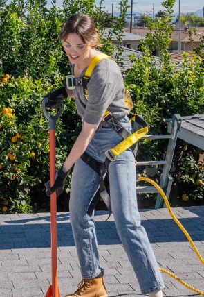 Póster de Los gemelos reforman dos veces: Edición Celebrity