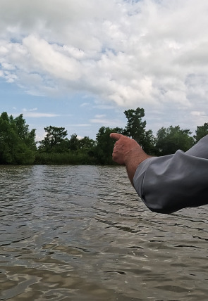 Los últimos gigantes T4 E6 en la programación de Caza y Pesca HD (Ocio y Aficiones)