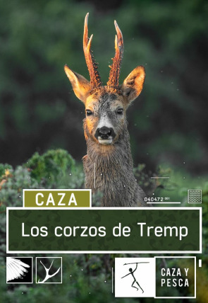 Los corzos de Tremp en la programación de Caza y Pesca HD (Ocio y Aficiones)