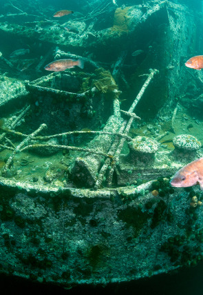 Póster de Islas Misteriosas: La isla desierta