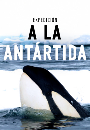 Póster de Expedición a la Antártida