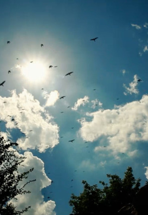 Desastre climático: Rayos