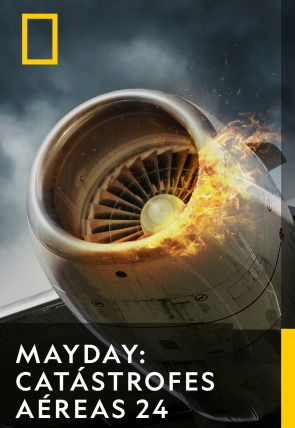 Póster de Mayday: Catástrofes aéreas · Sobrevivir al desastre