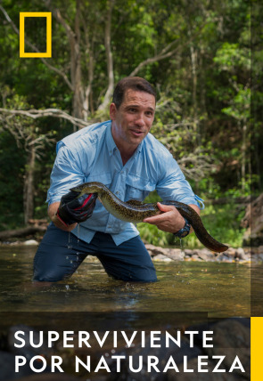 Póster de Superviviente por naturaleza · Náufragos en una isla