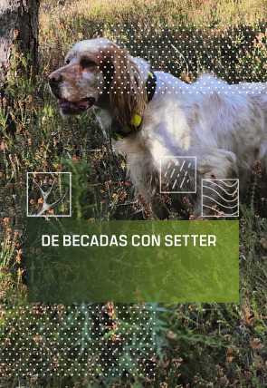 De becadas con setter en la programación de Caza y Pesca HD (Ocio y Aficiones)