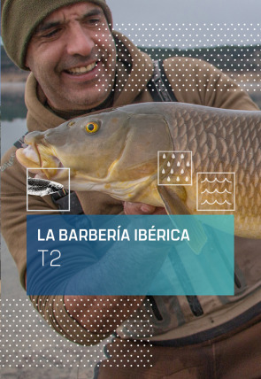 La Barbería Ibérica T2 · El barbo común entre el Duero y el Tajo