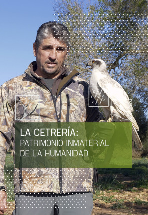 La cetrería: patrimonio inmaterial de la humanidad T1 · Bajo vuelo con Harris