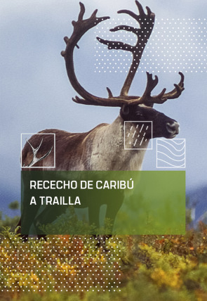 Rececho de caribú a traílla en la programación de Caza y Pesca HD (Ocio y Aficiones)