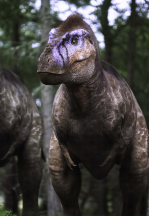 Extras de Caminando entre dinosaurios · Últimos días en la programación de M+ Documentales HD (Documentales)