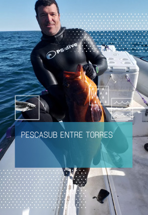 Pescasub entre torres