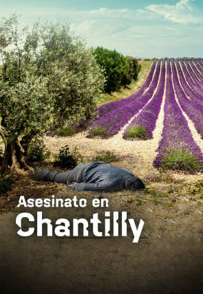 Imagen de la pelicula Asesinato en Chantilly
