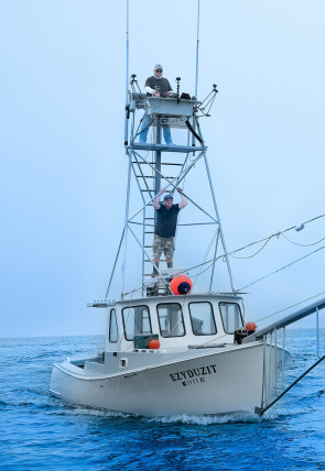 Pesca con arpón: Monstruos de la última temporada en la programación de Discovery (Documentales)