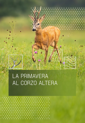 La primavera al corzo altera en la programación de Caza y Pesca HD (Ocio y Aficiones)
