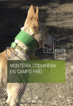 Montería cochinera en Campo Frío en la programación de Caza y Pesca HD (Ocio y Aficiones)