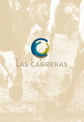 Póster de Carreras de Caballos- Turf:  14/06/2026/ Hipódromo de la Zarzuela